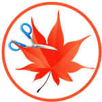 easy-cut-studio-1559230742-logo-150x150-1