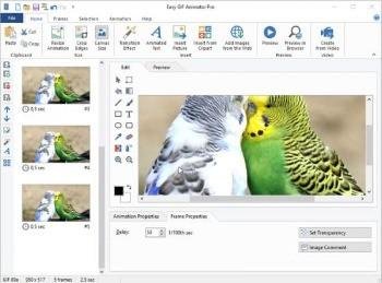 Download Blumentals Easy GIF Animator Professional 7.3.0.61 Portable
