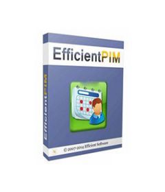Efficient Efficcess Pro 5.60 Build 546 + serial key