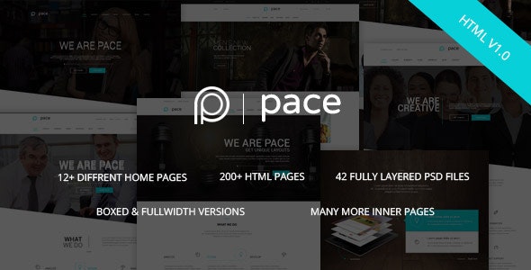 Pace v1.0 - Responsive MultiPurpose HTML5 Template