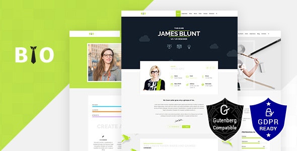 Bio v1.6 - Resume, CV, Freelancer WordPress Theme
