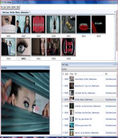 Fast Video Cataloger with Patch