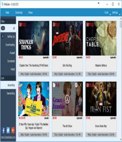 FlixGrab + Activator