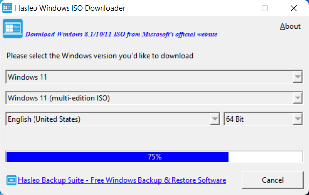 Download Hasleo Windows ISO Downloader v3.0.2.0 Portable