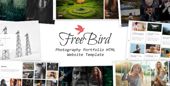 FreeBird v1.6 - Photography Portfolio HTML Website Template