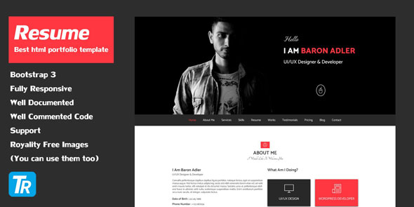 Download Resume – Personal Portfolio Web Template | Free Nulled Scripts