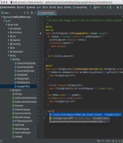 IntelliJ IDEA Ultimate 2018.3.4 + key
