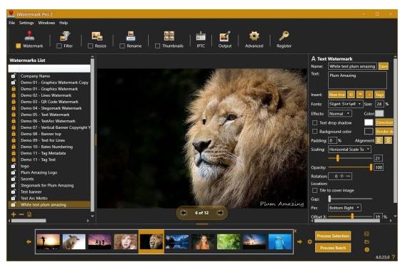 Download iWatermark Pro 2 v4.0.35 (x64) Portable