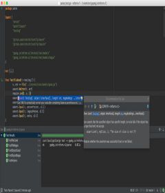 JetBrains GoLand 2018.3.5 + key
