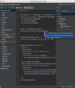 JetBrains PhpStorm 2018.3.4 + key