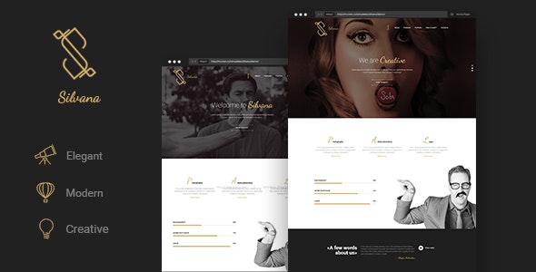 Silvana v1.0 - Creative Onepage Agency Template