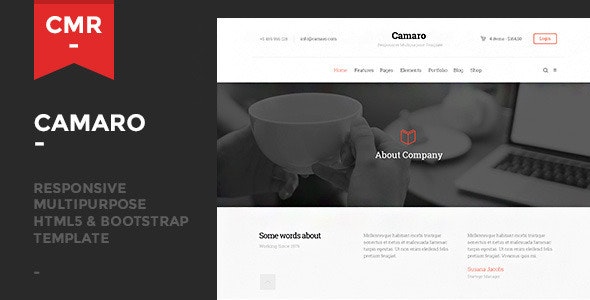 Camaro v1.2 - Responsive Multipurpose Template