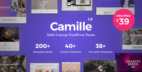 Camille v1.0.8 - Multi-Concept WordPress Theme