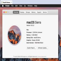 Download macOS Sierra 10.12.2 with Office 2016 VL – English – VMware image (Windows Intel)