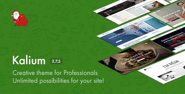 Kalium v2.7.5 - Creative Theme for Professionals