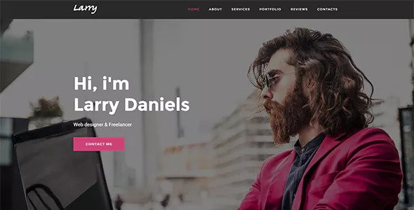 Larry v1.0.2 - Personal Onepage WordPress Theme