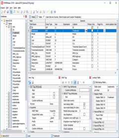 PHPMaker 2020.0.1 + keygen