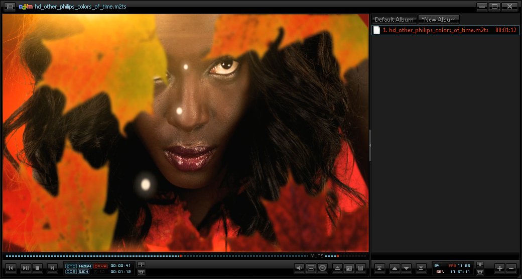 Download Potplayer Portable 1.6.57875 MultiLang Windows 32-64 bit