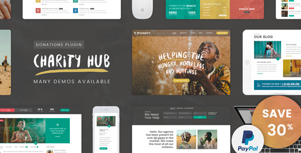 Charity Foundation v1.1 - Charity Hub WP Theme
