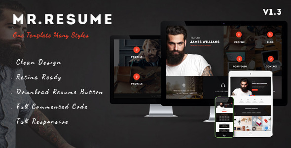 Morgan v1.3 - Resume, Profile and Portfolio WP Theme