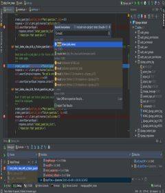PyCharm Professional 2018.3.4 + key