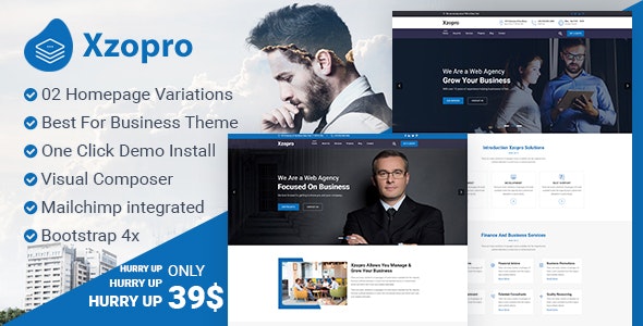 Xzopro  v1.0.0 - Finance And Business Consulting WordPress Theme