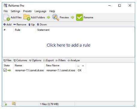 Download ReNamer Pro 7.9.0 Multilingual Portable