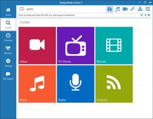 Replay Media Catcher 7.0.1.27 + patch