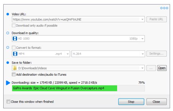 Download Robin YouTube Video Downloader 6.17.3 Portable
