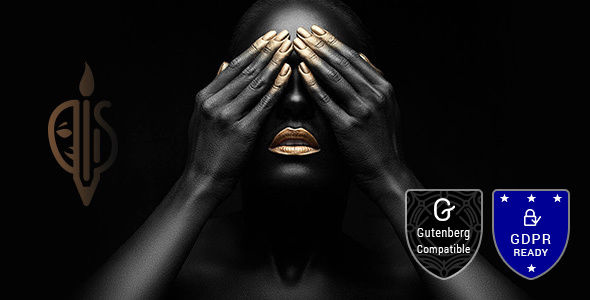 FullScreen Artist v1.5 - Photography Theme