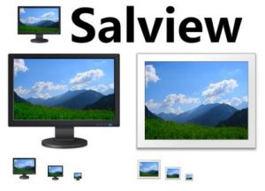 Salview with 32bit + 64bit Patch