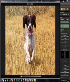 SHARPEN projects professional 3.31.03465 incl Patch 32bit + 64bit