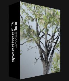 SpeedTree Modeler incl Patch