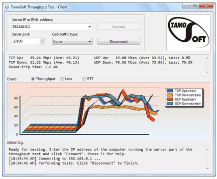 TamoSoft Throughput Test