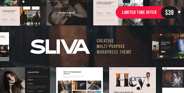 Sliva v1.0 - Responsive Multi-Purpose Theme