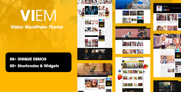 Viem v1.0.6 - Video WordPress Theme
