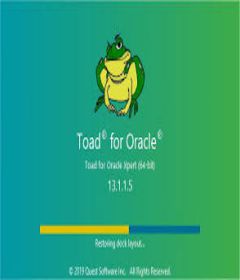 Toad for Oracle + key