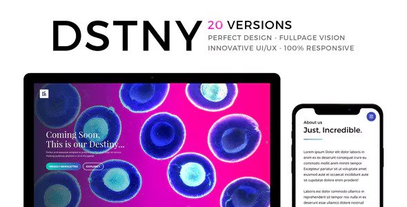 DSTNY - Revolutionary Coming Soon Template