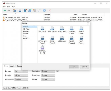 Download Video Shaper Professional 3.4 Portable [Latest]
