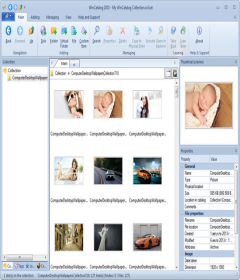 WinCatalog 2018 v18.6.1.125 + keygen