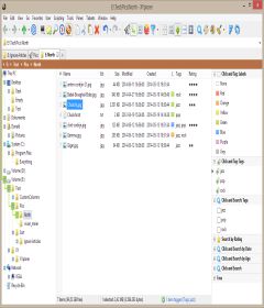 XYplorer 19.50.0000 + Portable + keygen