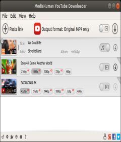 YouTube Downloader 3.9.9.24 (2709) + patch